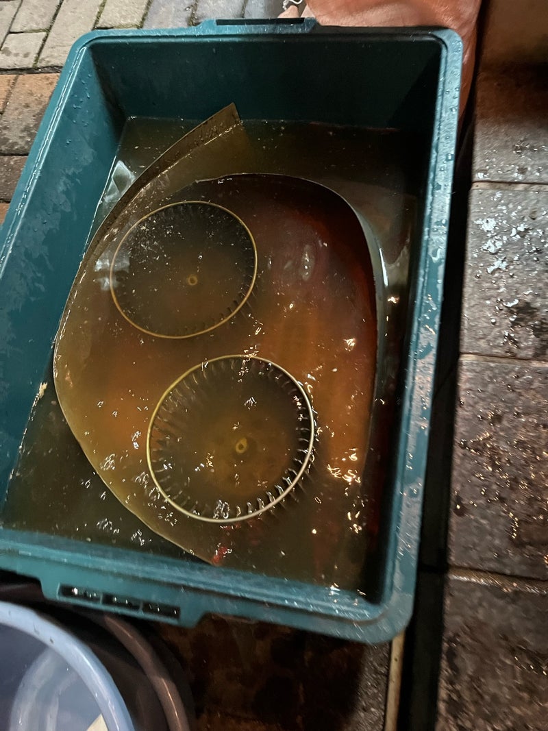 つけ置き洗浄の様子